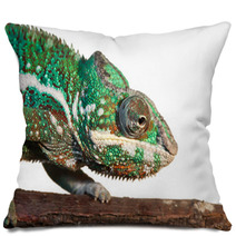 Chameleon Pillows 60715299