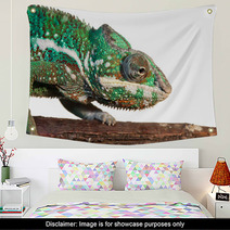 Chameleon Wall Art 60715299