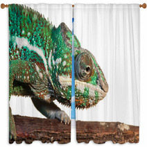 Chameleon Window Curtains 60715299