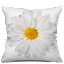 Chamomile Flower Isolated On White. Daisy. Macro Pillows 63953752