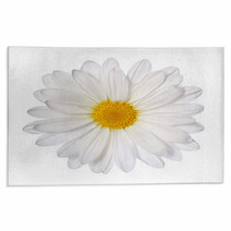 Chamomile Flower Isolated On White. Daisy. Macro Rugs 63953752