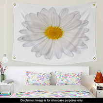 Chamomile Flower Isolated On White. Daisy. Macro Wall Art 63953752