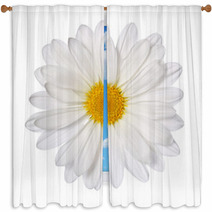 Chamomile Flower Isolated On White. Daisy. Macro Window Curtains 63953752