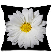 Chamomile Flower Over Black Background. Daisy. Pillows 64202334