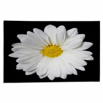 Chamomile Flower Over Black Background. Daisy. Rugs 64202334
