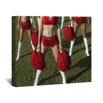 Cheerleaders With Pom Poms On Field Low Section Wall Art 21315349