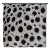 Cheetah, Acinonyx Jubatus Bath Decor 90503721