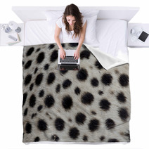 Cheetah, Acinonyx Jubatus Blankets 90503721