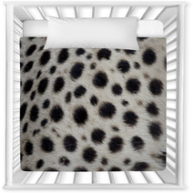 Cheetah, Acinonyx Jubatus Nursery Decor 90503721