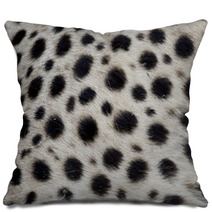 Cheetah, Acinonyx Jubatus Pillows 90503721