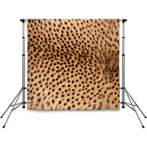 Cheetah Print Skin Photography Backdrops 54778650