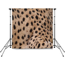 Cheetah Skin Backdrops 69467832