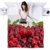 Cherry; Objects On White Background Blankets 59696825