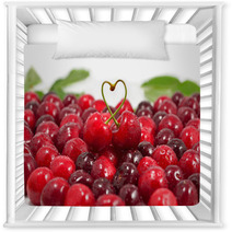 Cherry; Objects On White Background Nursery Decor 59696825
