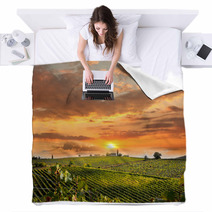 Chianti, Famous Vineyard In Italy Blankets 51174897