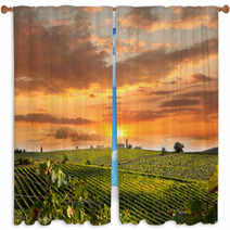Chianti, Famous Vineyard In Italy Window Curtains 51174897