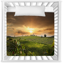 Chianti Vineyard Landscape In Tuscany, Italy Nursery Decor 49236361