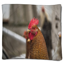Chicken Blankets 100183276