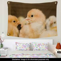 Chicken Broilers. Poultry Farm Wall Art 71504622