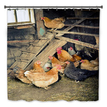 Chicken Coop Bath Decor 52566035