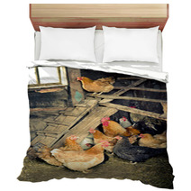 Chicken Coop Bedding 52566035