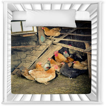 Chicken Coop Nursery Decor 52566035