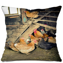 Chicken Coop Pillows 52566035