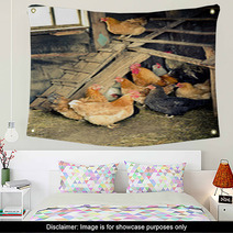 Chicken Coop Wall Art 52566035