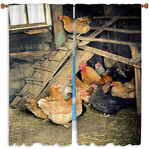 Chicken Coop Window Curtains 52566035