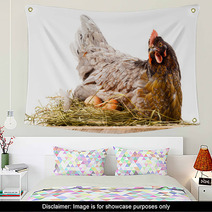 Chicken In Nest With Eggs Isolated On White Wall Art 60665621