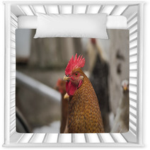 Chicken Nursery Decor 100183276