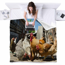 Chicken On A Farm Blankets 55021943
