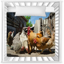 Chicken On A Farm Nursery Decor 55021943