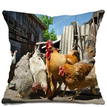 Chicken On A Farm Pillows 55021943