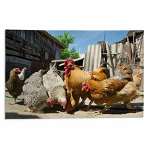 Chicken On A Farm Rugs 55021943