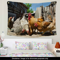 Chicken On A Farm Wall Art 55021943