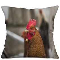 Chicken Pillows 100183276