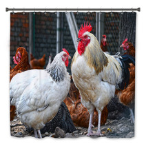 Chickens On Traditional Free Range Poultry Farm Bath Decor 87366934