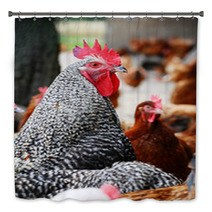 Chickens On Traditional Free Range Poultry Farm Bath Decor 87367325