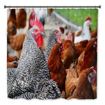 Chickens On Traditional Free Range Poultry Farm Bath Decor 87367382