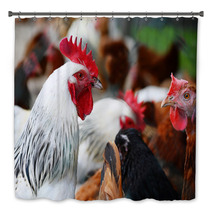 Chickens On Traditional Free Range Poultry Farm Bath Decor 87367404