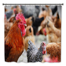 Chickens On Traditional Free Range Poultry Farm Bath Decor 87367482