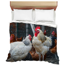 Chickens On Traditional Free Range Poultry Farm Bedding 87366934