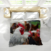 Chickens On Traditional Free Range Poultry Farm Bedding 87367404