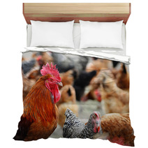 Chickens On Traditional Free Range Poultry Farm Bedding 87367482