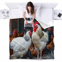 Chickens On Traditional Free Range Poultry Farm Blankets 87366934