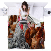 Chickens On Traditional Free Range Poultry Farm Blankets 87367382