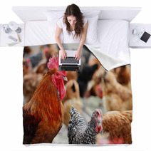 Chickens On Traditional Free Range Poultry Farm Blankets 87367482