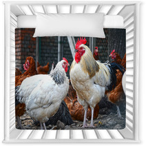 Chickens On Traditional Free Range Poultry Farm Nursery Decor 87366934