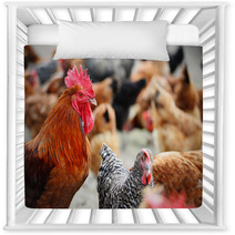Chickens On Traditional Free Range Poultry Farm Nursery Decor 87367482